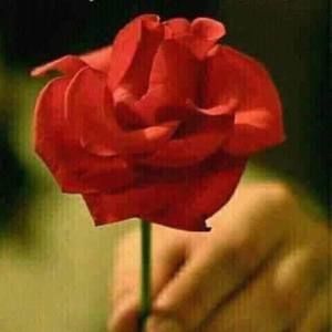 Meet your Posher, Legacy